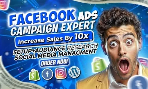 I will setup facebook and instagram ads campaign, manage meta ads