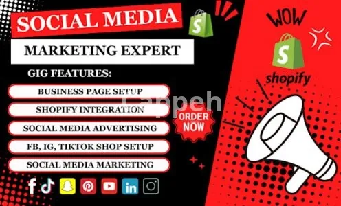 I will setup shopify facebook ads, instagram ads, tiktok ads, or social media marketing