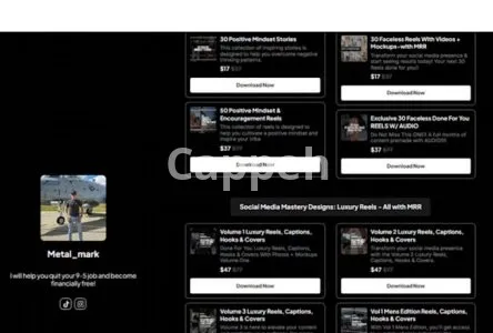 I will build you a stan store complete with digital products to sell