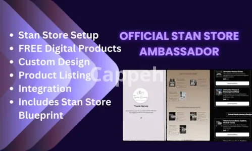 I will build you a stan store complete with digital products to sell