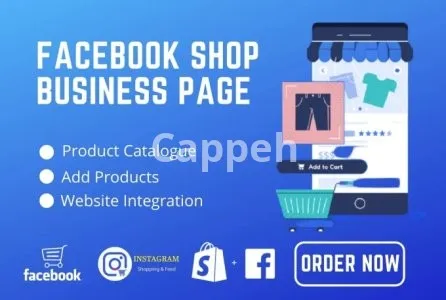 I will create, optimize and manage facebook business page , shop and design post