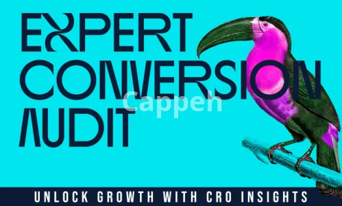 Our agency will complete a cro website audit to increase sales