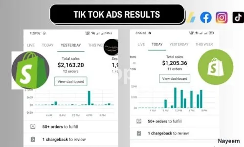 I will audit your ecommerce site for conversion rate optimization