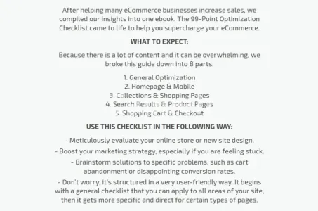I will run a 99 pt ecommerce conversion rate optimization audit