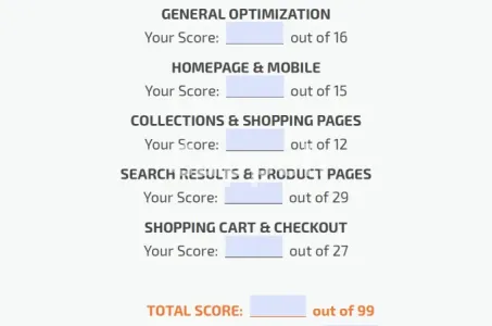 I will run a 99 pt ecommerce conversion rate optimization audit