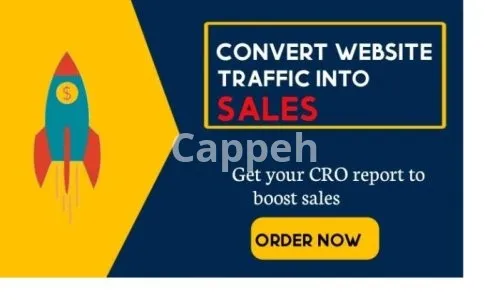 I will do conversion rate optimization of your website with proven tactics