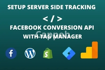 I will setup server side tracking and facebook capi with GTM