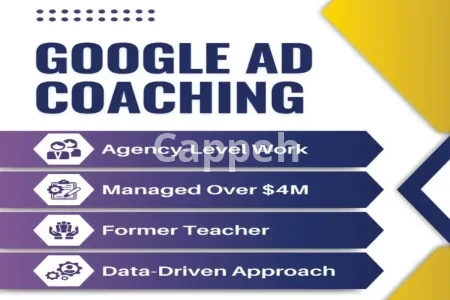 I will provide google ads audit and consultation