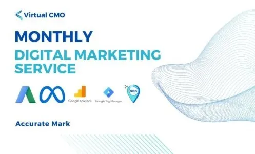 I will deliver monthly digital marketing service