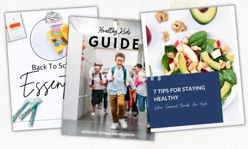 I will design a canva ebook, workbook, or lead magnet for you