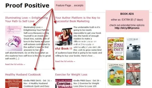 I will promote your kindle book on my book marketing network