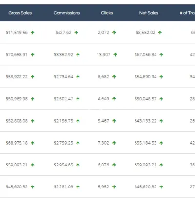 I will do shareasale affiliate marketing program optimization