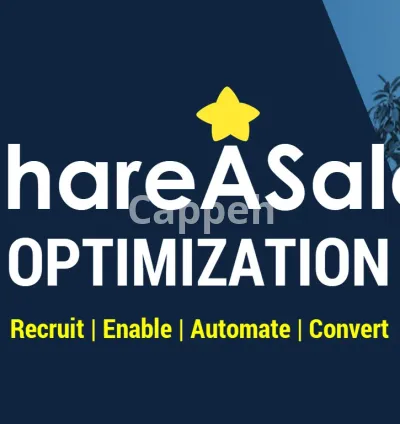 I will do shareasale affiliate marketing program optimization