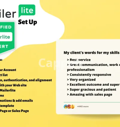 I will set up mailerlite email marketing, automation, landing pages