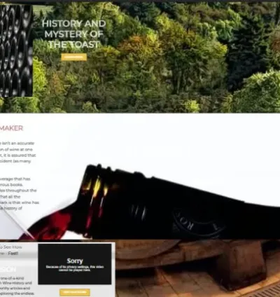 I will build marketing sales funnels, clickfunnels , klaviyo ,go high level