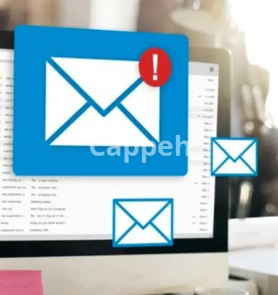 I will manually send emails one by one