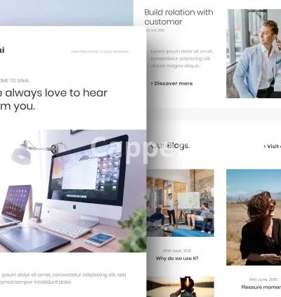 I will design professional mailchimp email template newsletter