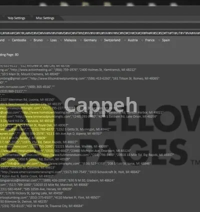 I will scrape yellow pages to get email leads