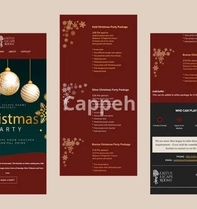 I will design amazing klaviyo email template newsletter in 24 hours