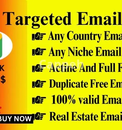 I will do niche targeted bulk email list blast, collection and validation