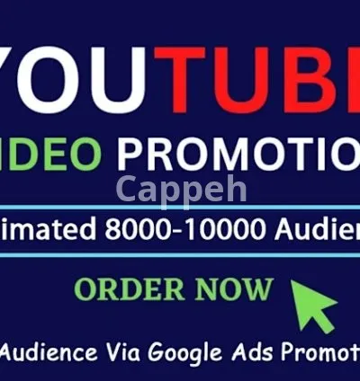 I will best youtube video promotion using google ads