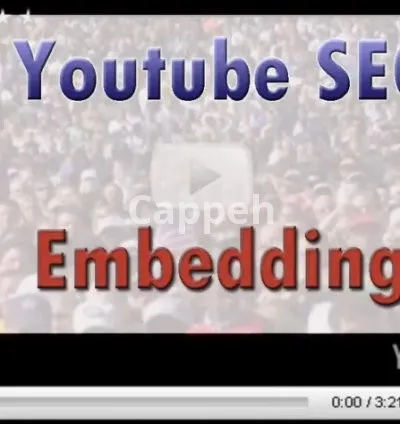 I will embed your youtube vids in 12 websites for video SEO and promotion