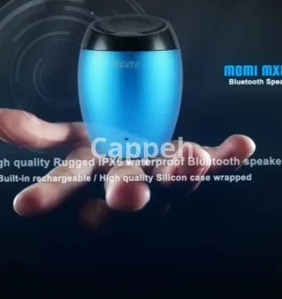 I will do a custom motion graphic work