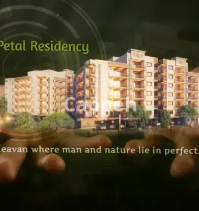 I will do a custom motion graphic work