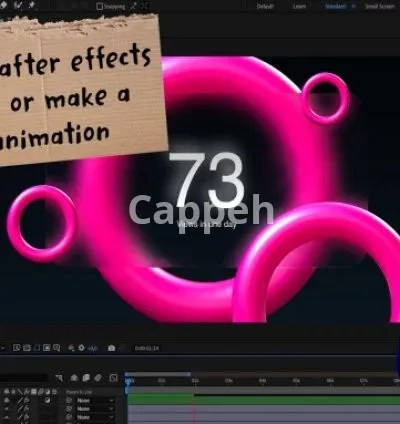 I will create custom explainer video animation