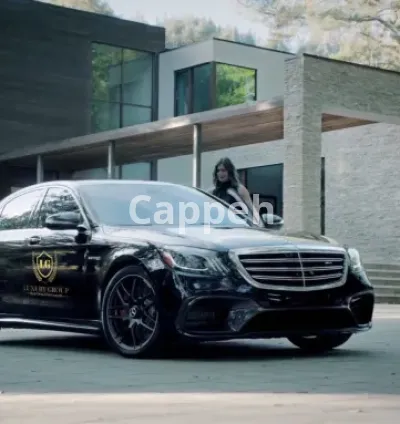 I will provide luxury compilation for your logo brand advertisement