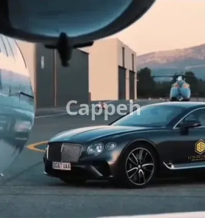 I will provide luxury compilation for your logo brand advertisement