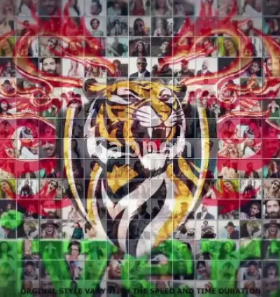 I will do 100 photo mosaic logo animation, mosaic intro video, intro mosaic multi photo