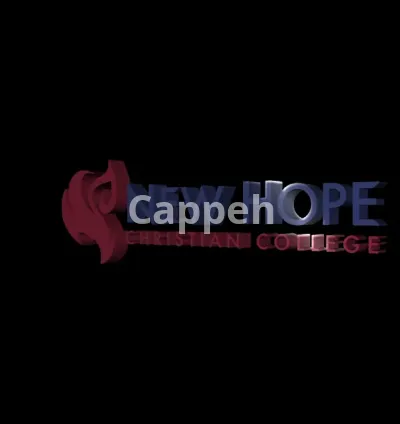 I will do amazing hologram 3d video