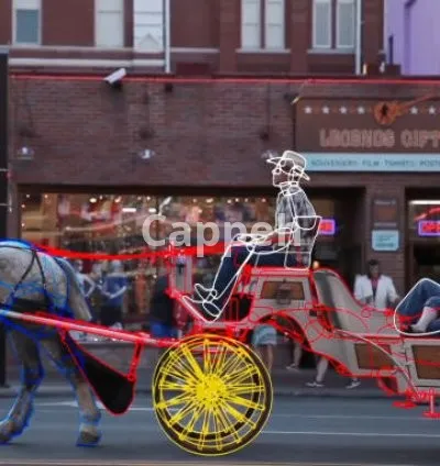 I will do rotoscoping, green screen remove, wire removal precisely