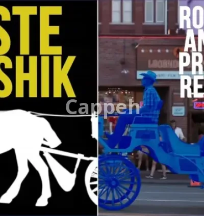 I will do rotoscoping, green screen remove, wire removal precisely