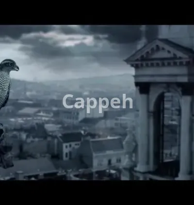 I will do professional color correction and color grading, studio colorist for 14 years