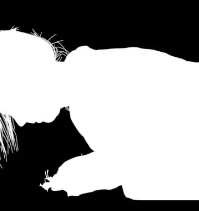 I will do vfx, rotoscoping, chroma keying, cleanup, compositing professionally