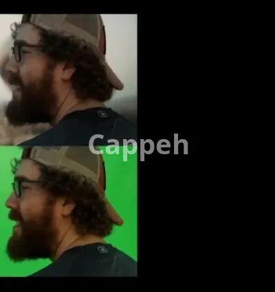 I will do vfx, rotoscoping, chroma keying, cleanup, compositing professionally