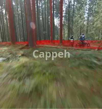 I will do camera tracking, matchmoving, 3dtracking, rotoanimation