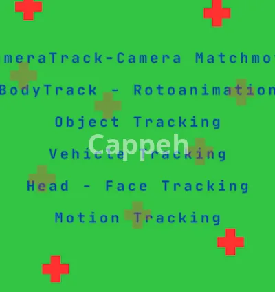 I will do camera tracking, matchmoving, 3dtracking, rotoanimation