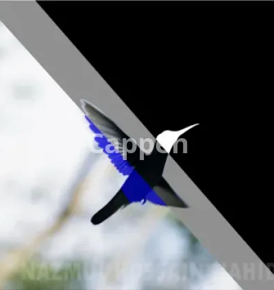 I will do vfx, rotoscoping, roto, green screen remove professionally