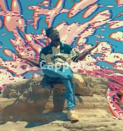 I will edit professionally your music video hiphop, rap and others