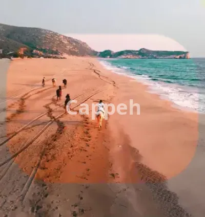 I will do professional cinematic video editing