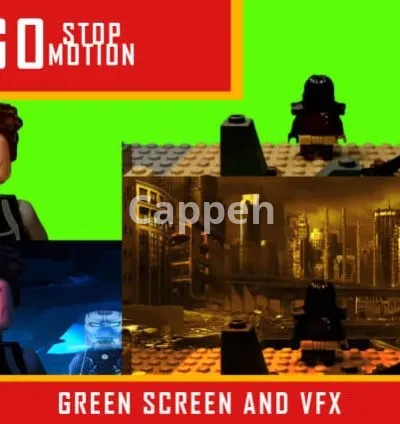 I will make professional lego animation