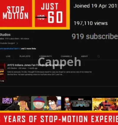 I will make professional lego animation