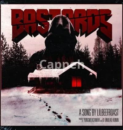 I will animate your album cover art for spotify canvas videos