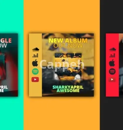 I will make an awesome music promo video 3in1