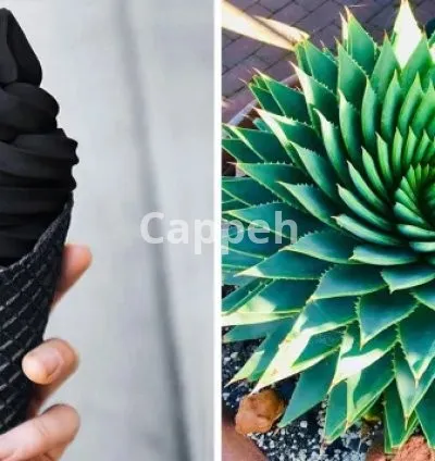 I will create copyright free satisfying, relaxing videos for youtube