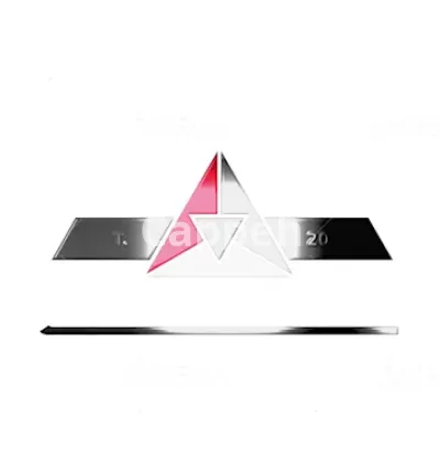 I will create 100 percent unique custom intro logo animation