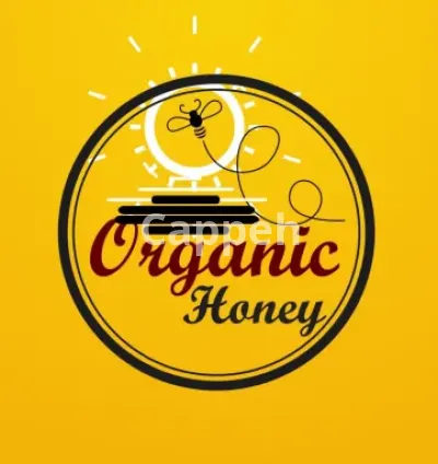 I will create 2d custom logo animation or animated youtube intro video